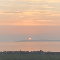 Áslaug María Dungal