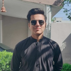 Hassan Ul Islam