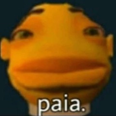 Matheus Silva Luciano