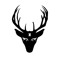 Rusa Records Indonesia