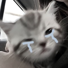 ュ