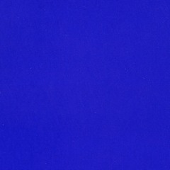 Carolina Pelletier Fontes