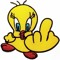 Kid Pingo