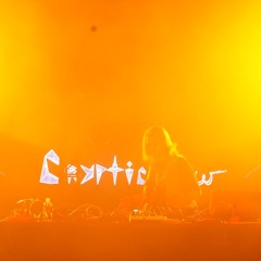 CrypticFlow
