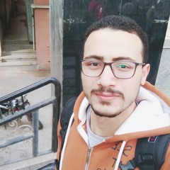 ahmed elsayed