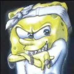 mesoswag