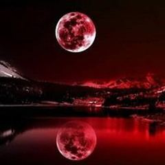 Tshering Moon