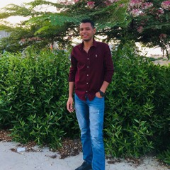 Mohammed Abd El Rady