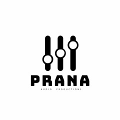 The Prana Audio Collective