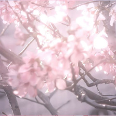 🌸