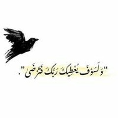 Nourhan Sayed Hassan