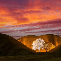 Zakhele South Africa