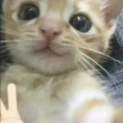 muj