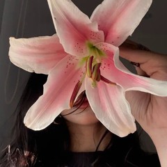 🌷