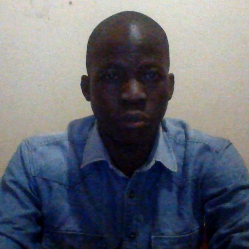 Nametso Duncan Diseko’s avatar