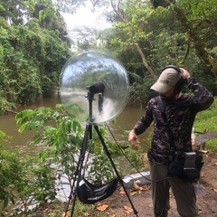 Javier Maradiaga Melara