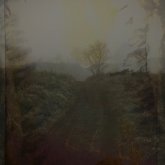 who are the monsters