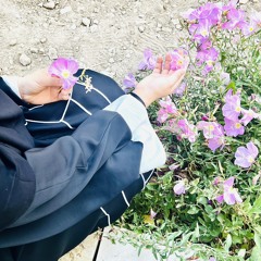 shahd