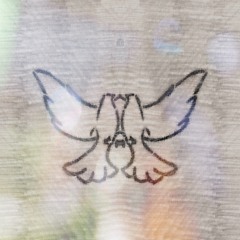 guccidovefly