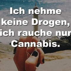 Fichte81