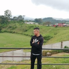 Fabián Andrés Gómez vindas