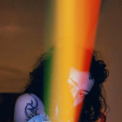 gnat