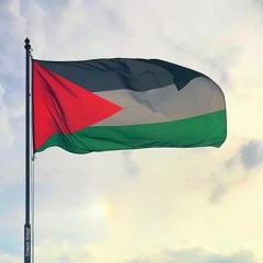 منتهى ربايعه