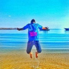 سليم الامير