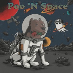 Poo 'N Space