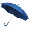 Blue Umbrella