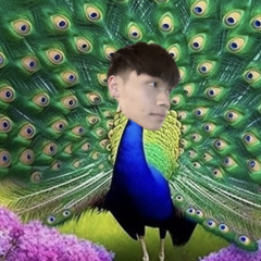 hoàng việt