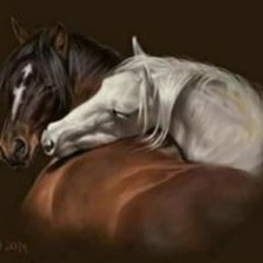 Mohamed H. Elharmeel