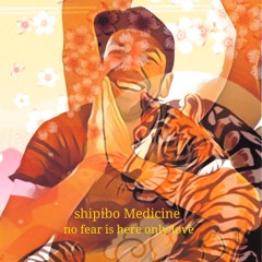 meditate medicine shipibo