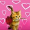 percy