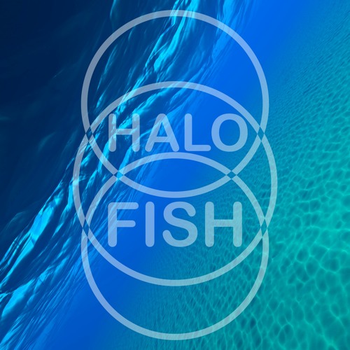 haLO.FIsh’s avatar