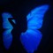 strngerlovv🦋