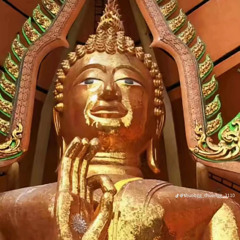 Vũ Trương