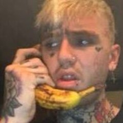 lilpeeplover🕊