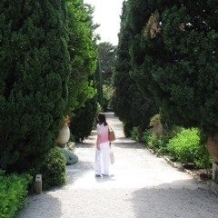 Vilsone