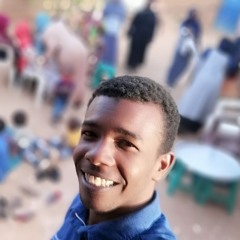 انس سوداني