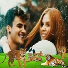 محمد عبد الرحيم