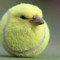 ursofunnyimabiteurbutt