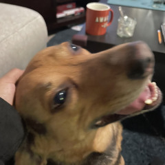 _(:3」z)_