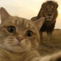 💕🧸𝓐𝓵𝓪𝓪