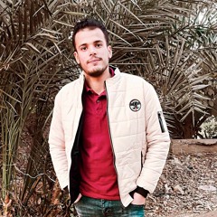 Ashraf Fawzi
