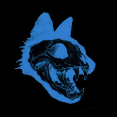 CC-D Project