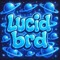 Lucid brd