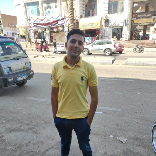 ahmed elsayed’s avatar
