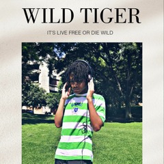 Wild Tiger