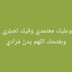 MOSTAFA WALID